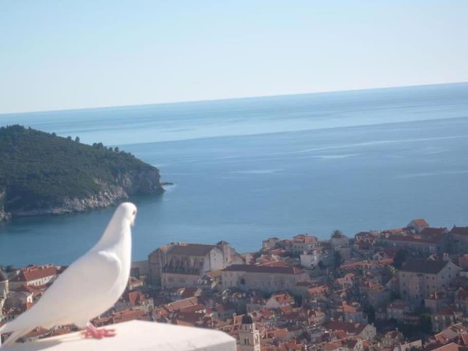 Romantic Ap,With Amazing View Dubrovnik Bagian luar foto